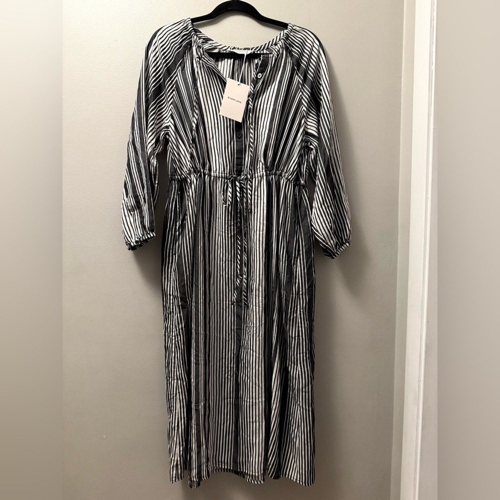 Everlane The Tencel Gathered Maxi Dress